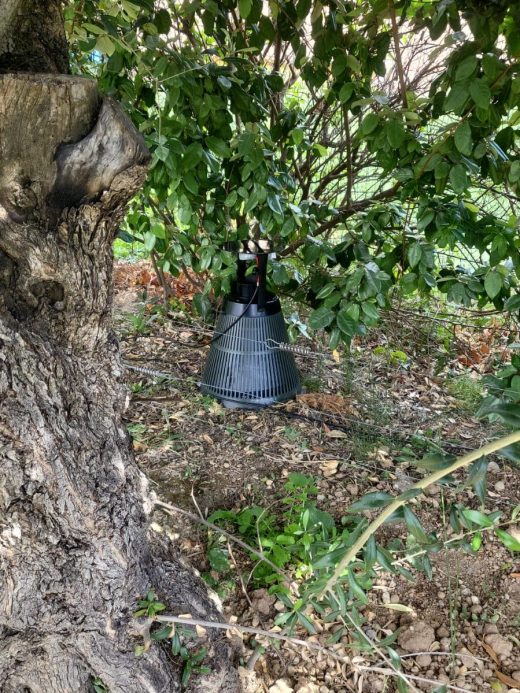 Propest expert de la lutte anti-moustique dans les Alpes-Maritimes